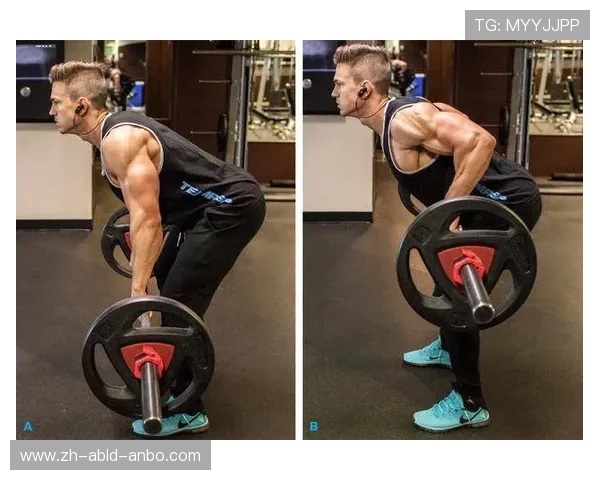 高阶背部增肌计划六种专业器械深度剖析